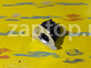 23120-35701 Шестерня ГРМ коленвала Dominant Sorento | Hyundai Terracan